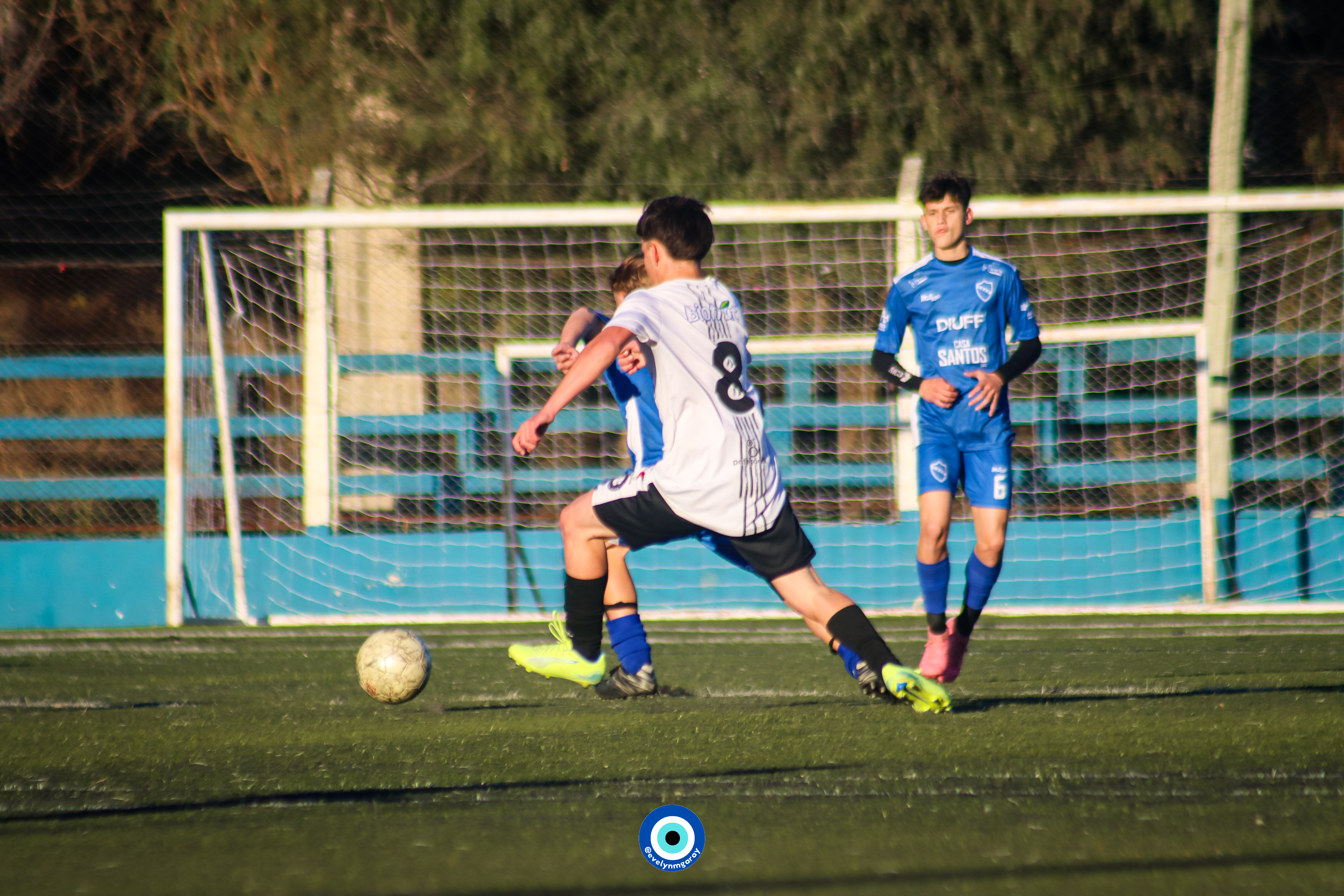 Imagen 1
